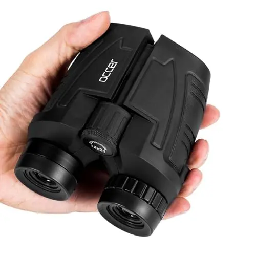 Best Small Binoculars For Hunting - 2026 Reviews - Woolworth On Fifth